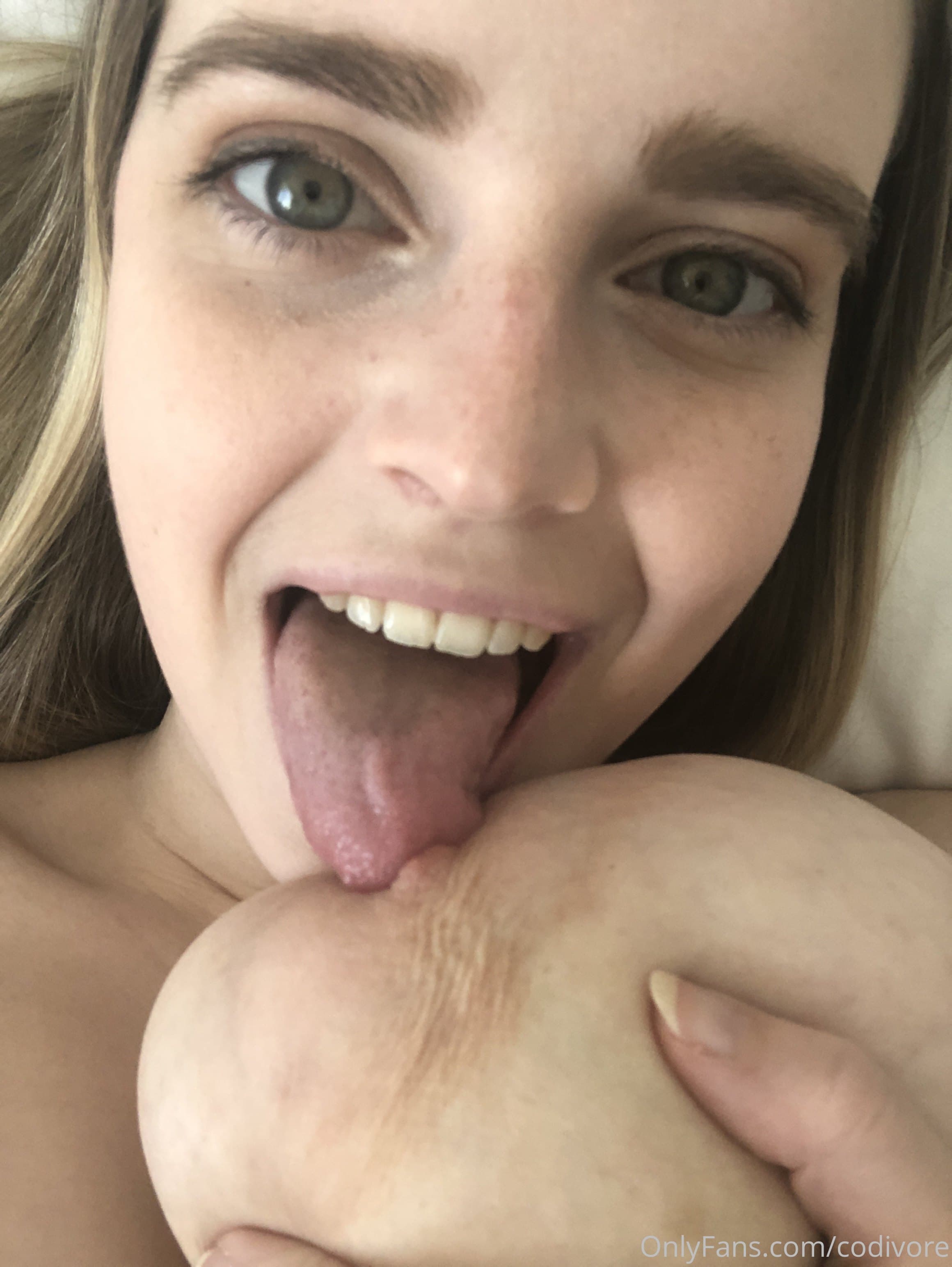 52885464