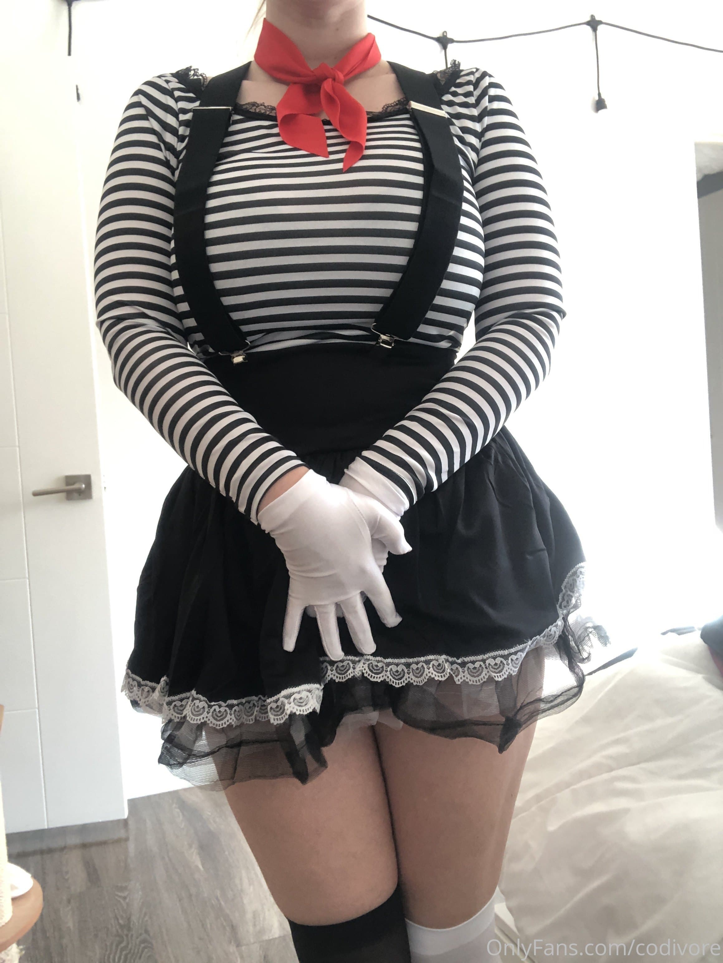 53495626