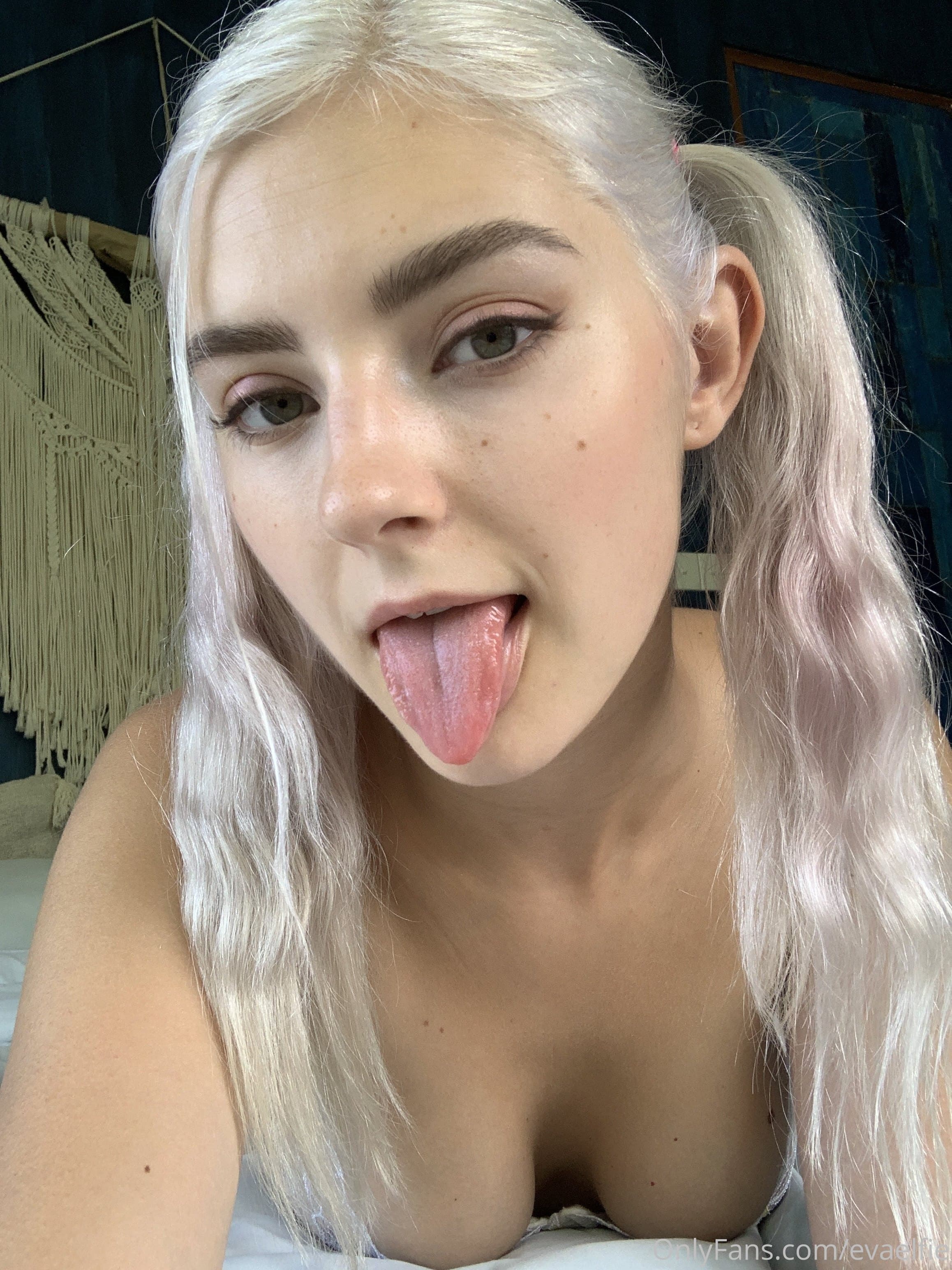 159683586