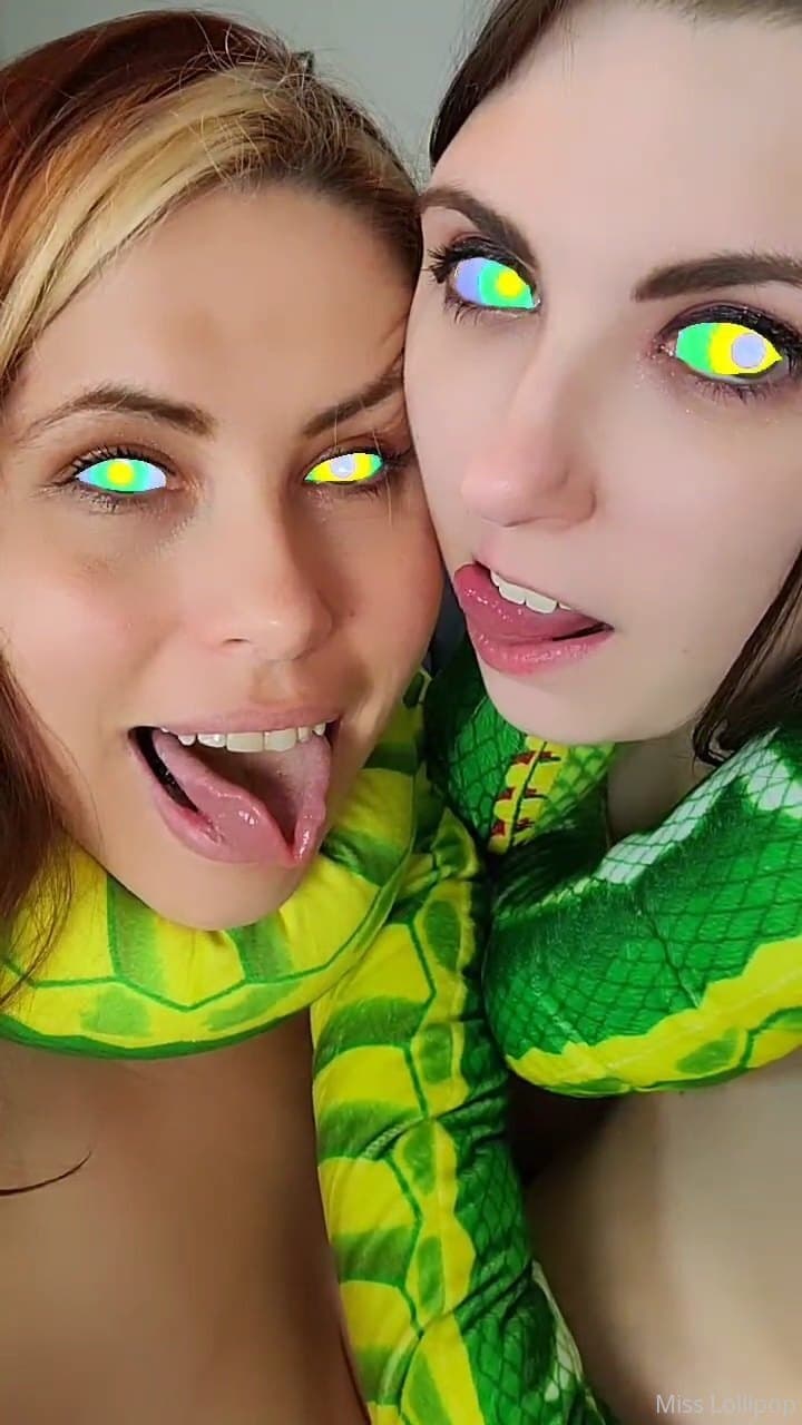 153337665
