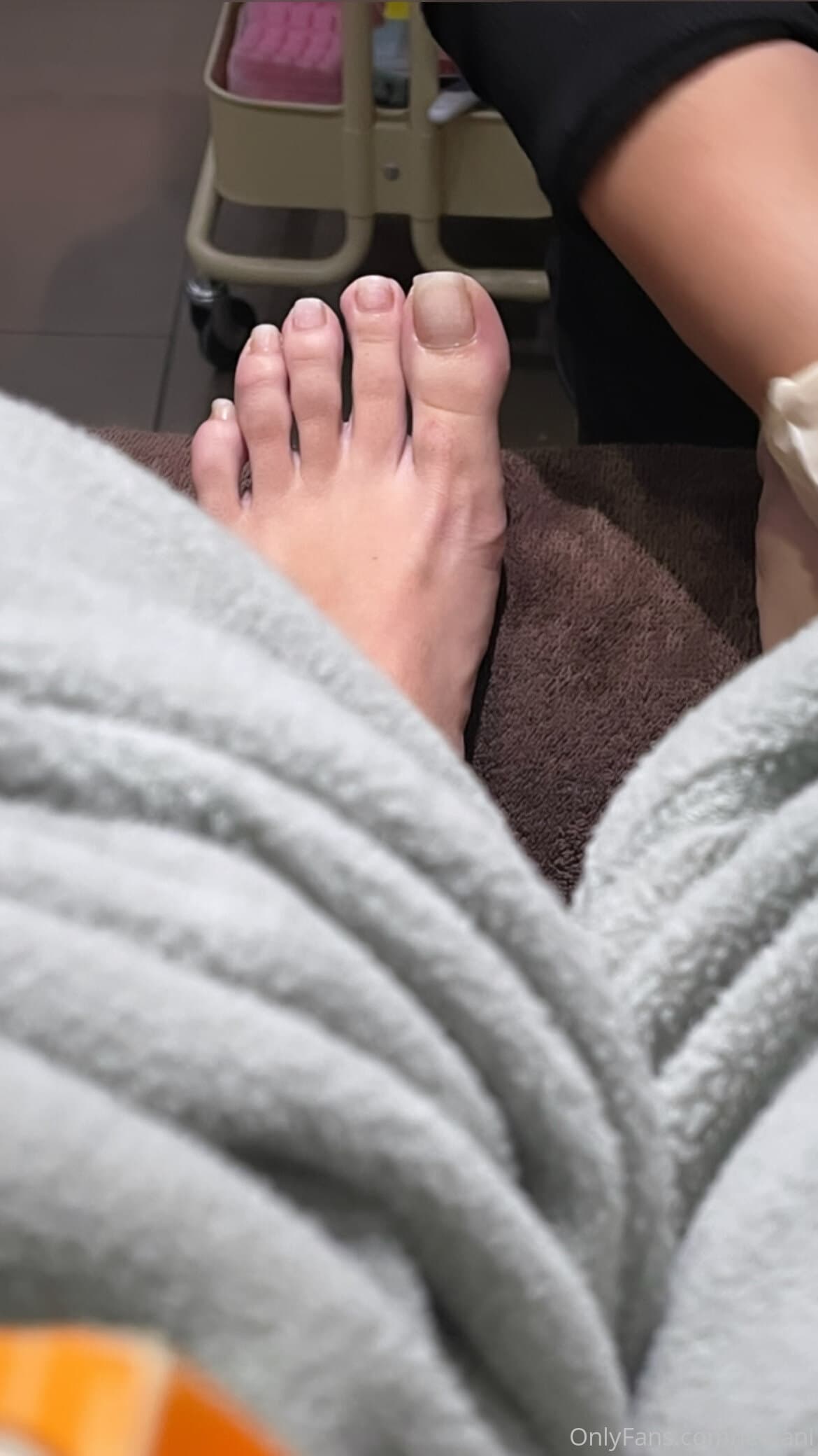 239346480