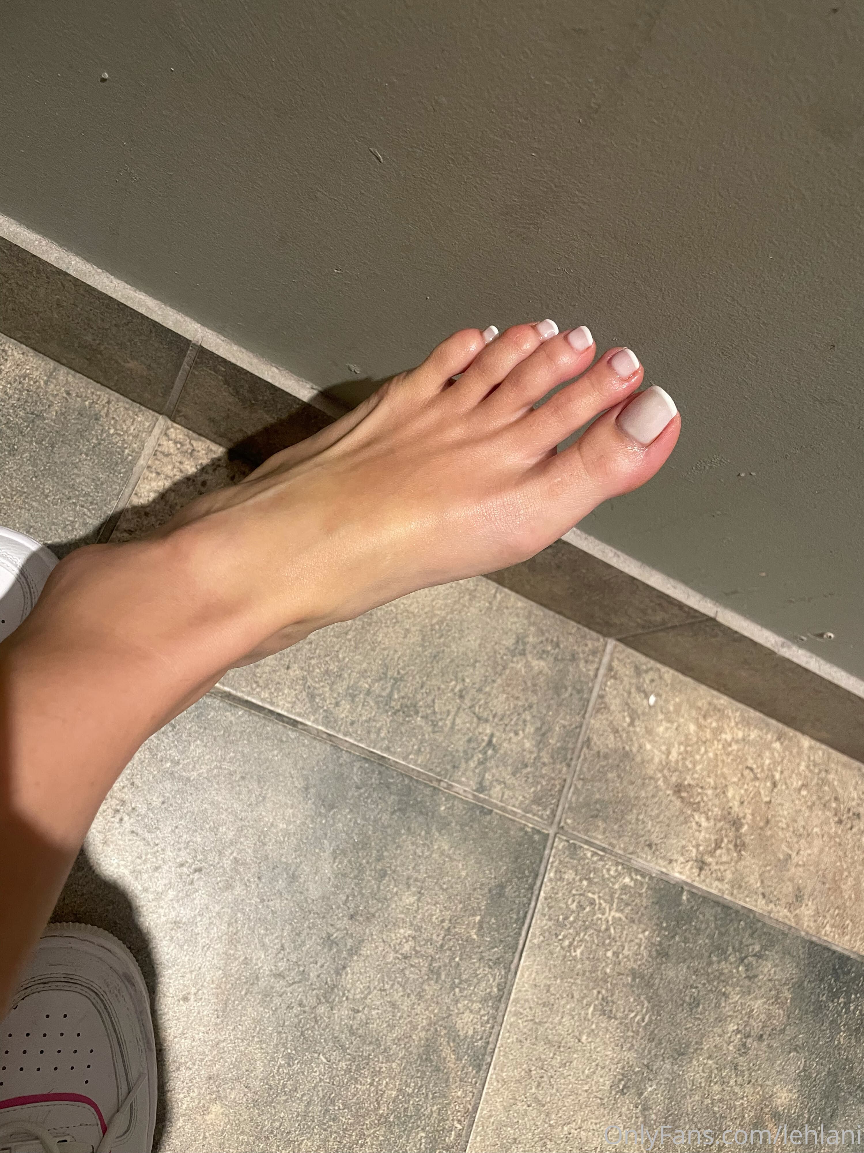 246564103