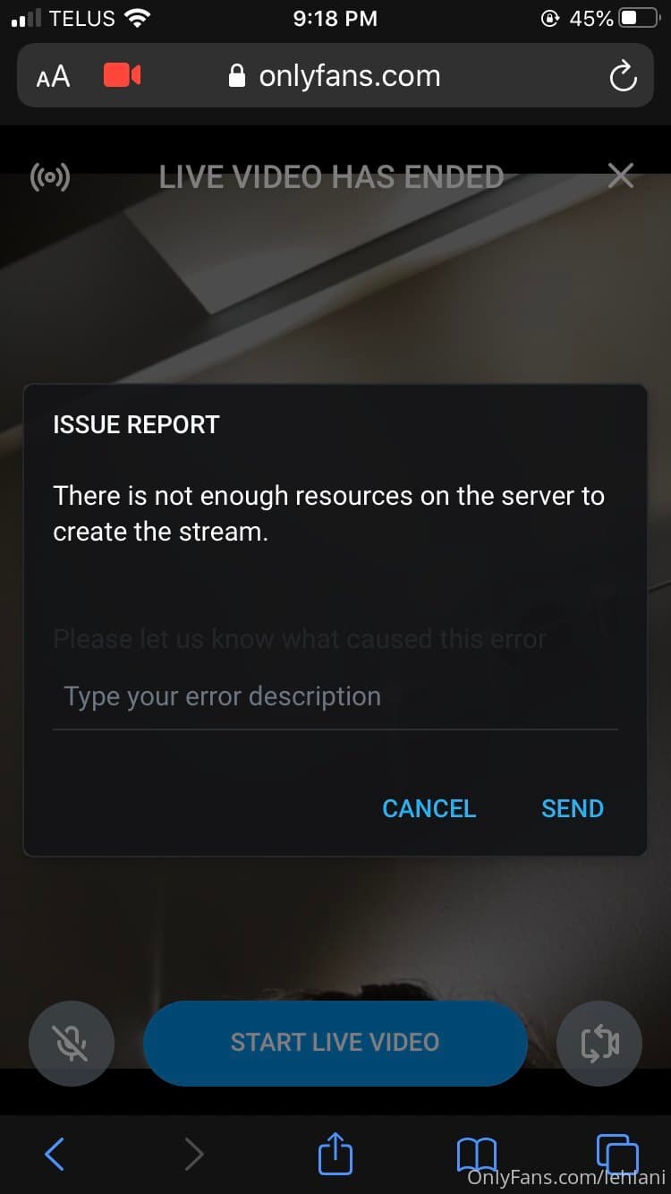 45697467