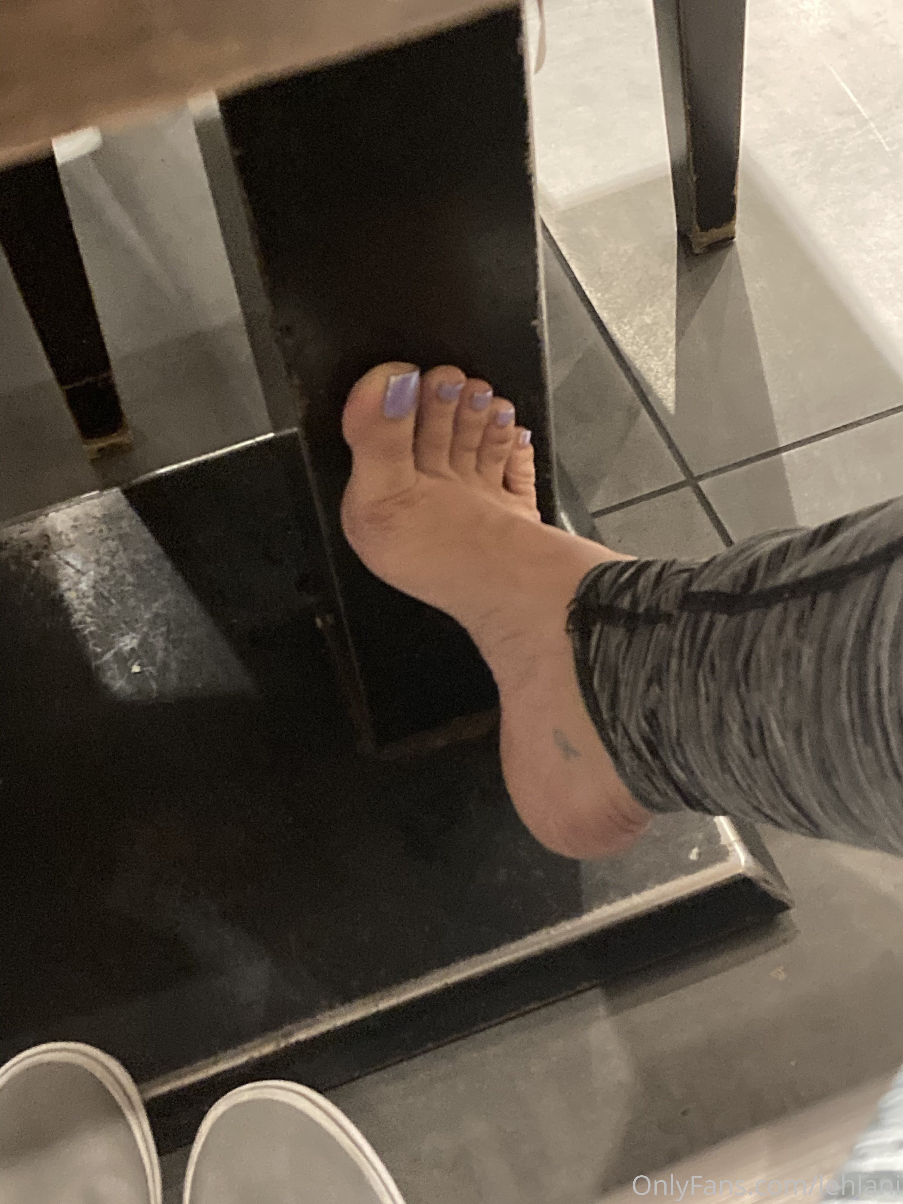 54365604
