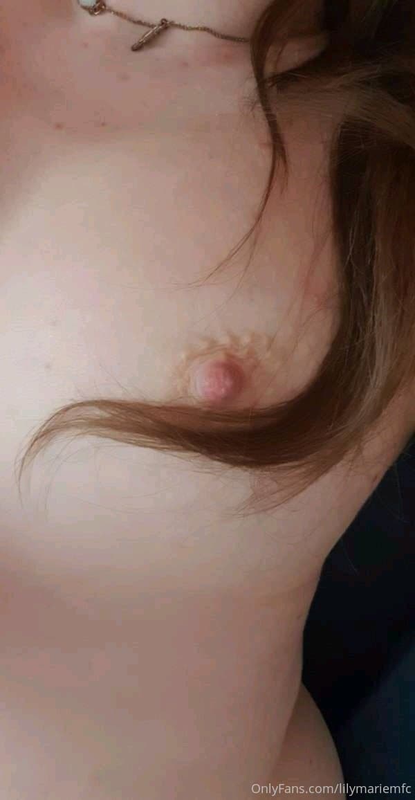 14646729