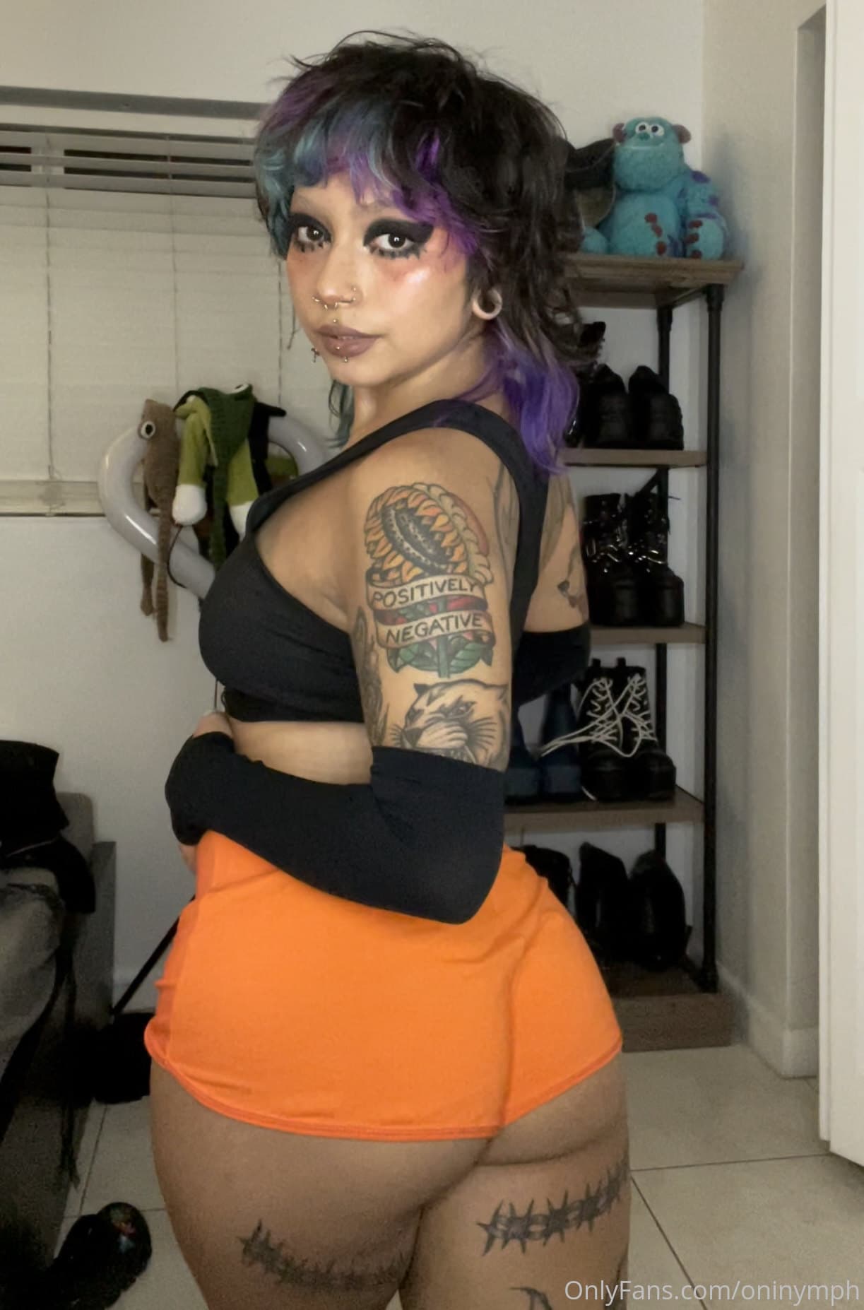 223321893