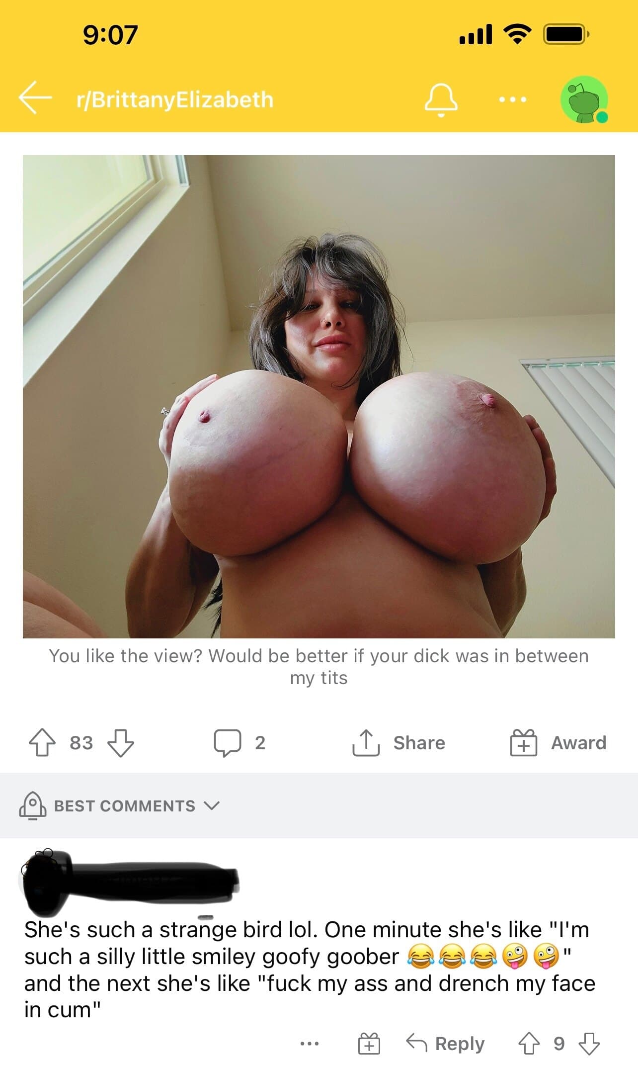 255676396