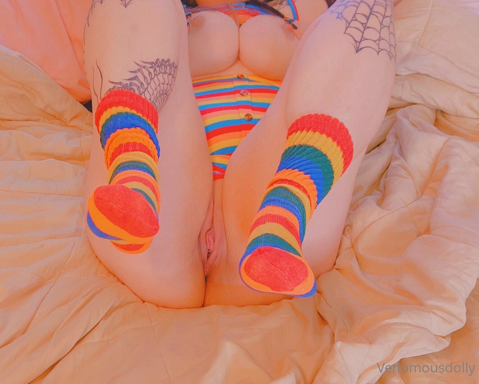 322892818