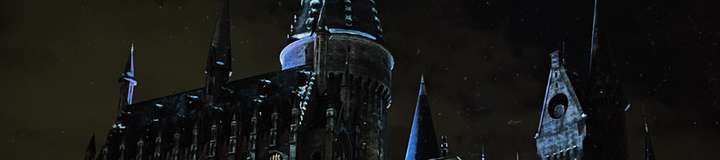 planetplaybunny banner